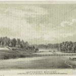 Lispenard's Meadow