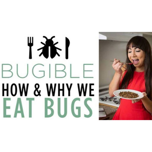 BUGIBLE: HOW & WHY WE EAT BUGS