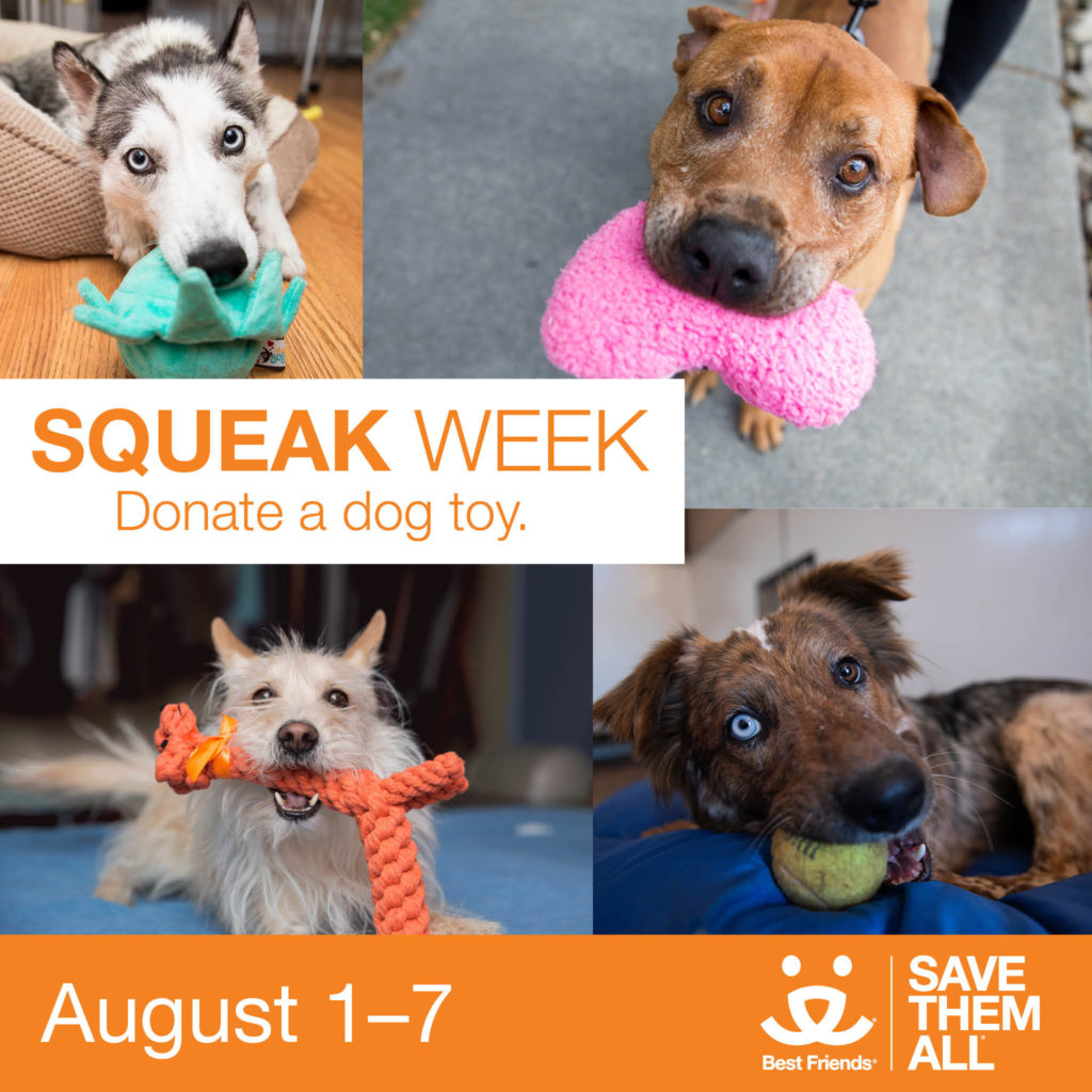 Squeak Week with Best Friends Animal Society — SoHo Broadway Initiative