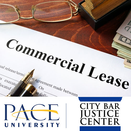 The Pace University Small Business Development Center (SBDC) has partnered with the City Bar Justice Center’s Neighborhood Entrepreneur Law Project (NELP) and the Downtown Alliance to bring you legal professionals who will present on the basics of commercial leasing