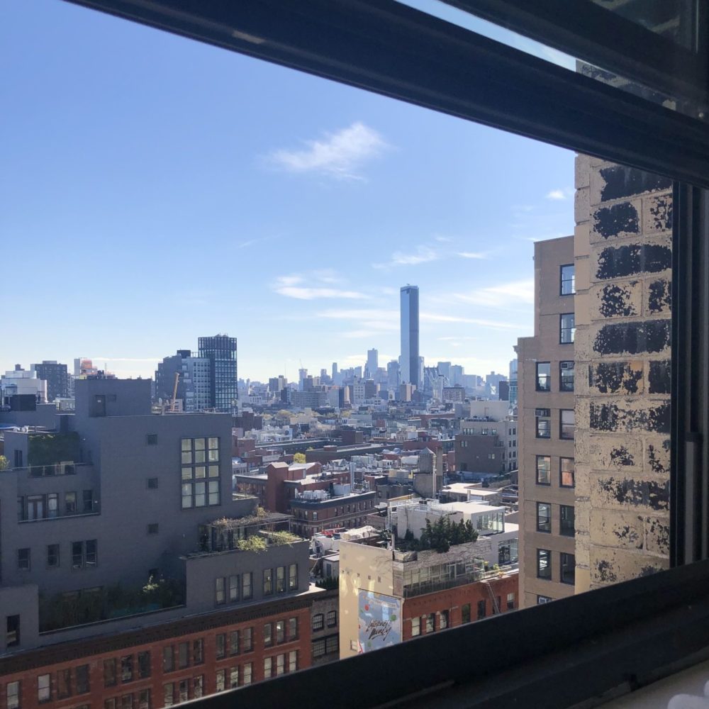 View from 594 Broadway Suite 1107