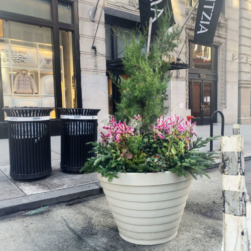 Planters Brighten up Broadway