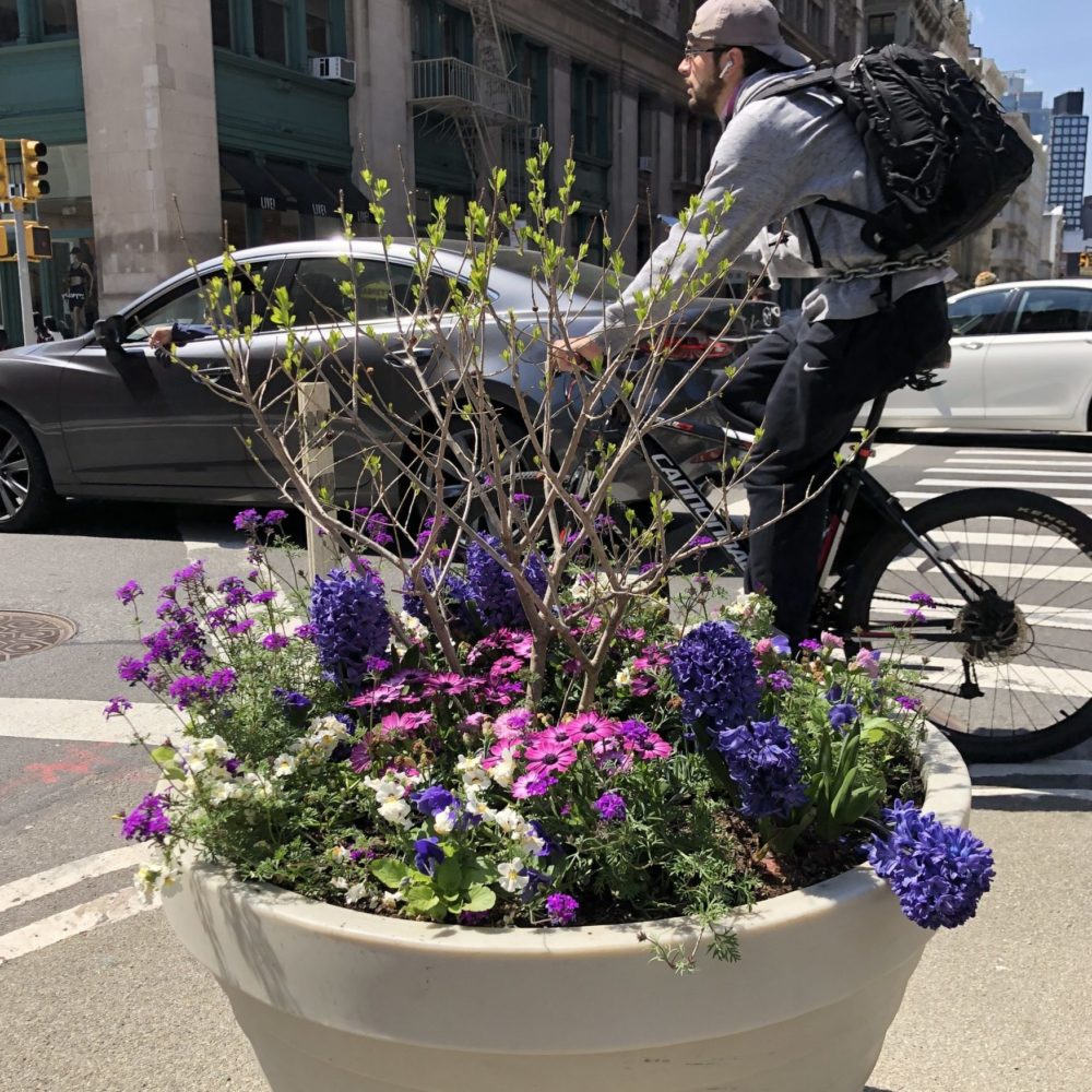 spring planter on Broadway