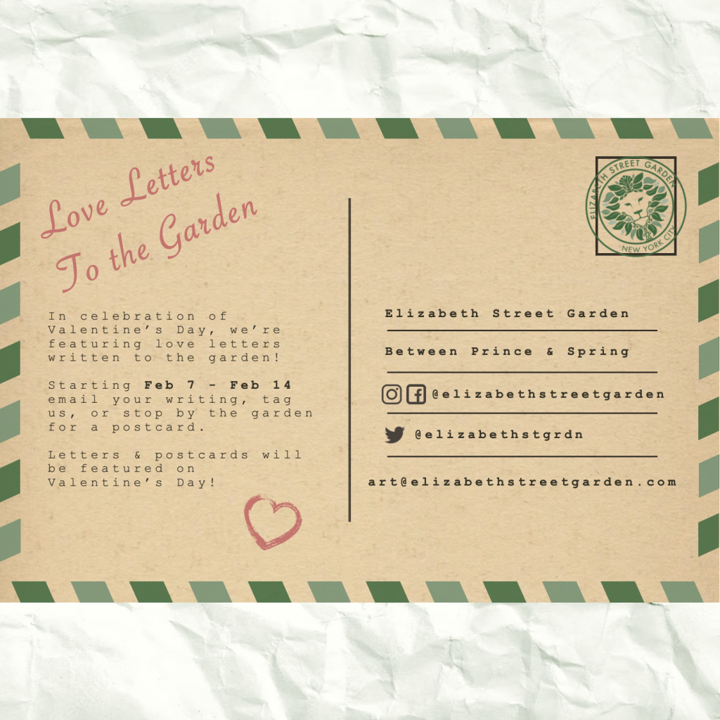 Love Letters to the Garden Tuesday, February 14, 2023