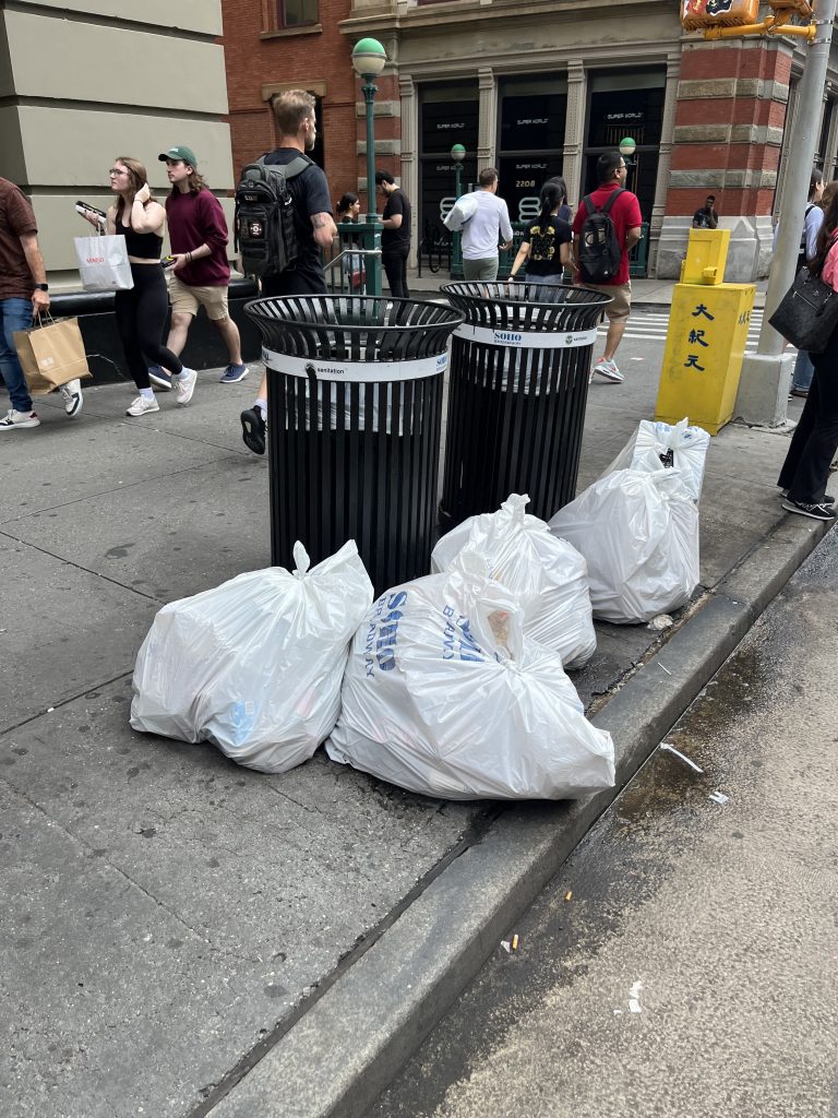 Trash bags on corner before Clean Curbs