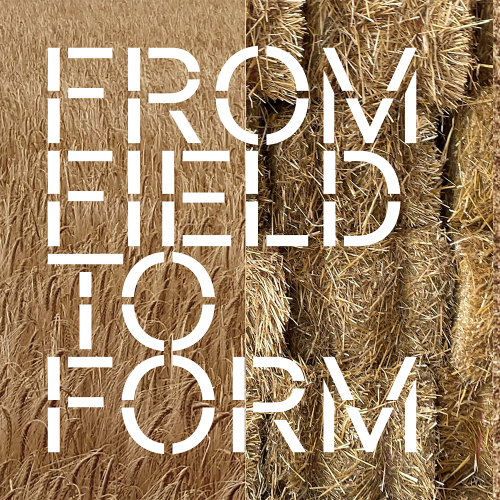 From Field to Form: Straw-The Architectural League of NY