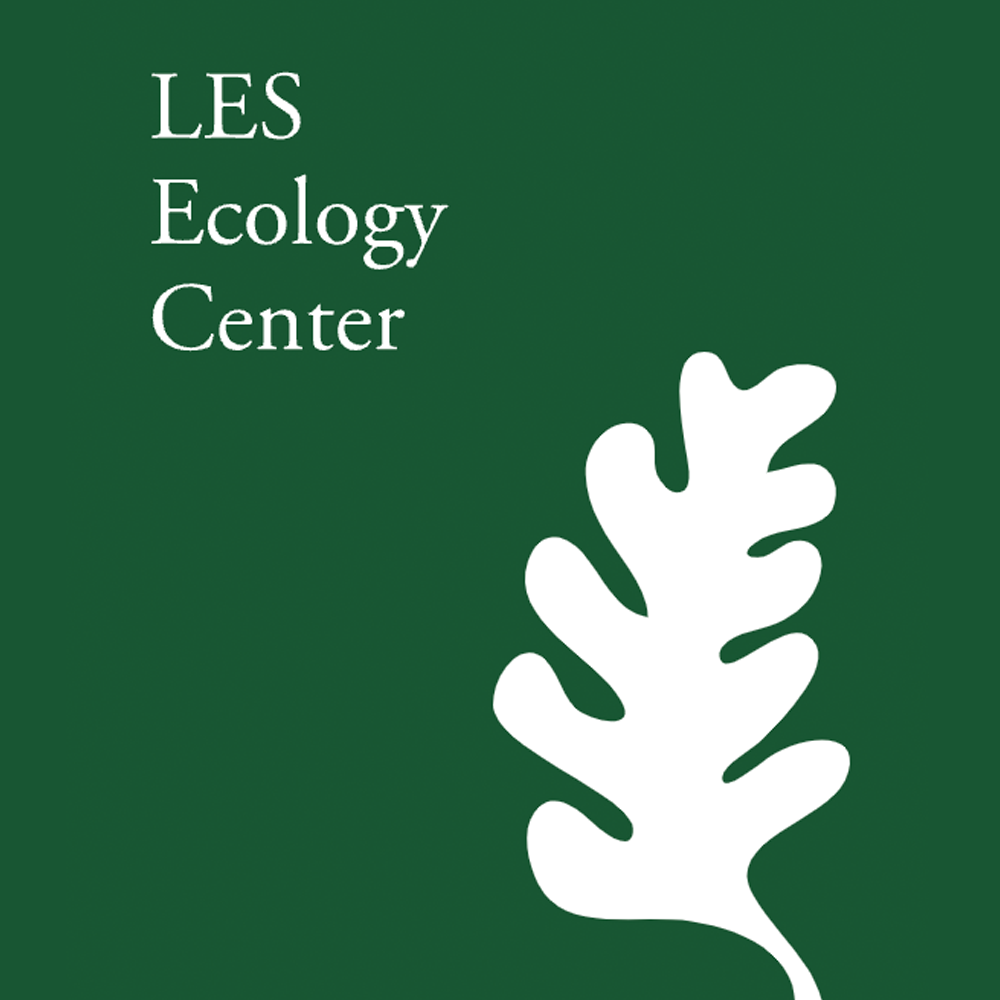 Volunteering in Street Tree Care with LES Ecology Center