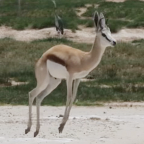 DOUGLAS DUNN LEADING TECHNIQUE ﻿Classes JANUARY 2026