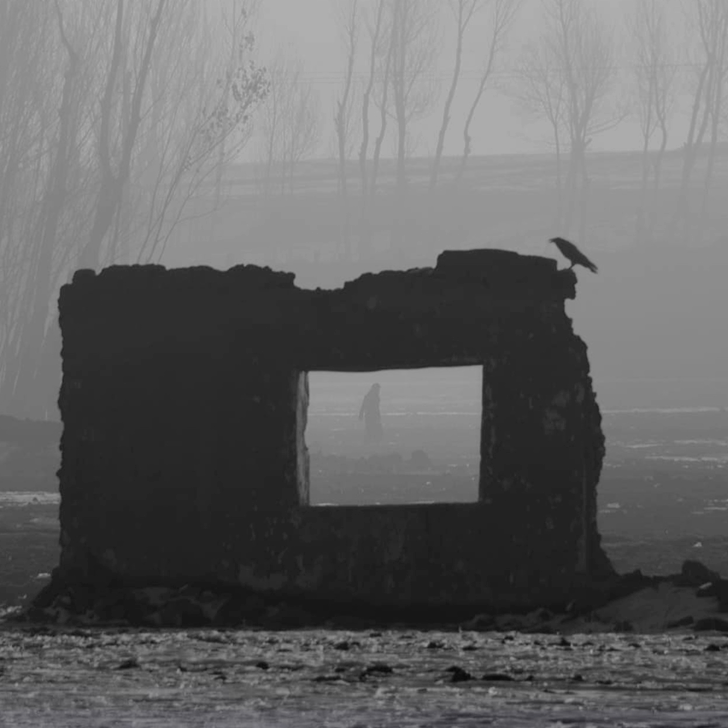 Surviving Shadows - Afghan Art in the Face of Suppression