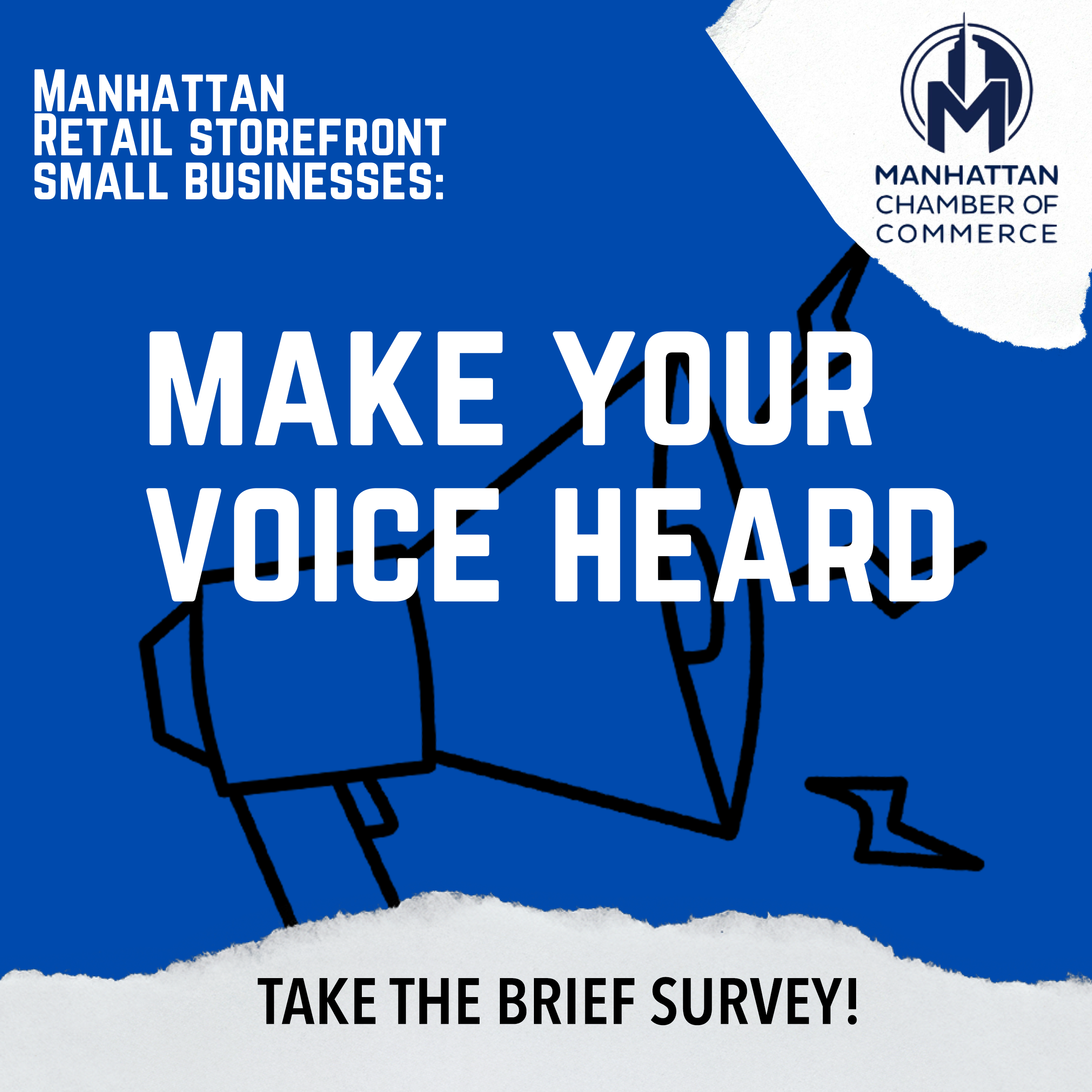 Manhattan Storefront Wellbeing Survey